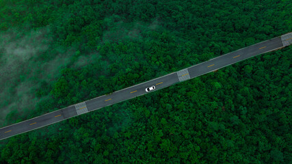 Wall Mural - Aerial view of dark green forest road and white electric car Natural landscape and elevated roads Adventure travel and transportation and environmental protection concept	
