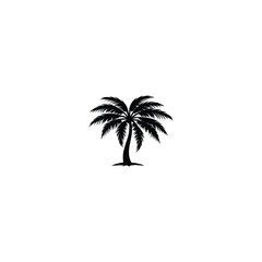 Wall Mural - palm tree on a white background