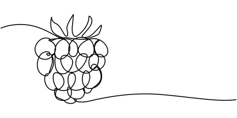 Raspberry vector color illustration, background, sketch banner for label design. One continuous line drawing of raspberry with lettering. Editable black stroke, Raspberry continuous one line drawing