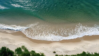 Wall Mural - Tropical beach paradise with sandy shores, turquoise waters, and vibrant beach accessories, embodying summer relaxation and joyful fun in the sun