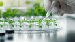 © Yelloone - Scientist in a lab developing biodegradable materials using plant-based biotechnology, biotech research, sustainable materials
