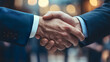 © Oksana - Closeup of handshake of business partners
