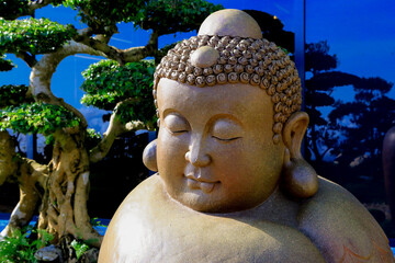 a Buddha statue in the Buddhist park