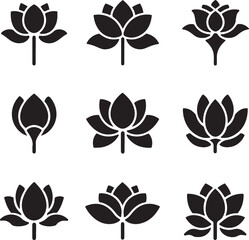 Wall Mural - A set of defferent types of lotus flower illustration vector .