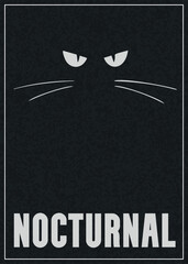 Eyes that pierce the night poster. Black cat poster. Nocturnal cat poster.