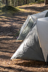 Fototapete - Two tents are set up in a serene forest, surrounded by tall trees and illuminated by gentle morning sunlight