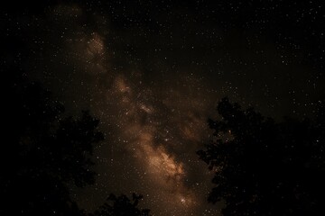 Wall Mural - A dark night sky with stars and the Milky Way galaxy in view. 