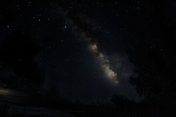 Wall Mural - A dark night sky with stars and the Milky Way galaxy in view. 