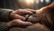 © Suchada - Close-up of a human hand gently holding a dog's paw, symbolizing friendship, trust, and the bond between pets and their owners.