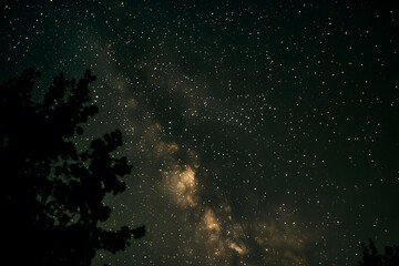 A starry night sky with the Milky Way galaxy