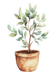 A watercolor painting of a small tree in a round pot on a transparent background, in a cute style.