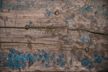 Wall Mural - detail of a wooden structure