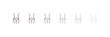 © Design_Farm - fitness body outline icon. Linear vector from gym concept. 6 different line style fitness body icon included thin, light, regular, medium, bold, black
