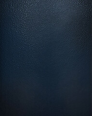 Wall Mural - Pebbled leather texture with navy blue to black gradient