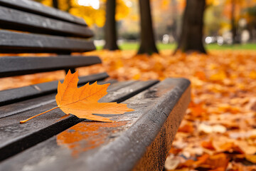 Sticker - Beautiful autumn landscape with yellow trees and sun. Colorful foliage in the park. Falling leaves natural background
