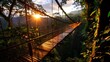 © Suthathip - lush costa rican cloud forest, hanging bridges, exotic birds hanging bridges stretch through the canopy, while exotic birds fly overhead.