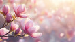 © AVADA - pink magnolia flowers  Two pink flowers on a branch against a white background