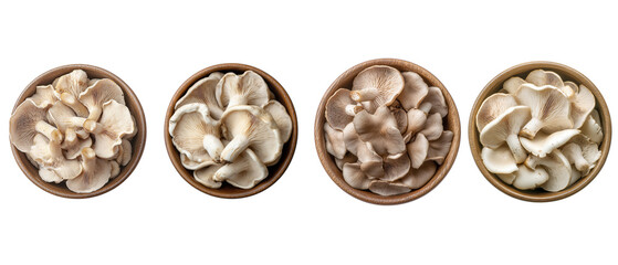 Oyster mushrooms in a bowl, isolated on a white background