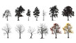 © john - various deciduous trees silhouettes on the white background