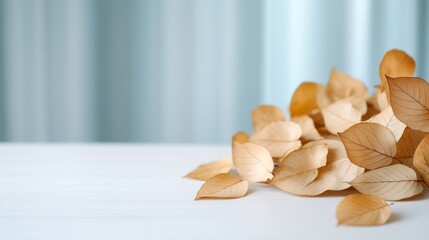 Canvas Print - Delicate birch leaves fluttering down onto a white painted table with soft pastel background 