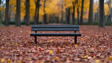 Wall Mural - Empty park bench surrounded by fallen red and yellow leaves, with tall maple trees in the background 