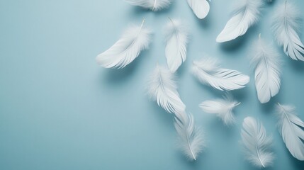 Canvas Print - White feathers falling gently on a light background, symbolizing peace, serenity, and the theme of Janeiro Branco 