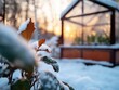 © ALLAI - Winter Garden Greenhouse at Sunset