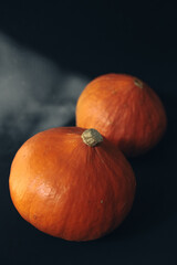 Beautiful fresh pumpkin on a black background