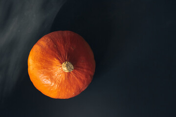 Beautiful fresh pumpkin on a black background