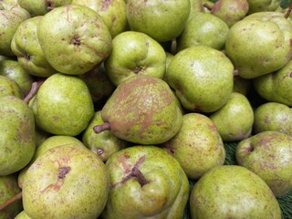 The pear is a sweet-tasting pip fruit of which there are two thousand varieties india,Sweet gree fresh Pear pic