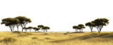 Transparent PNG image of a wide savanna grassland with scattered acacia trees and a distant horizon