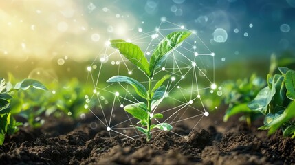 Plant background, front is agricultural technology icon 