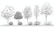 © The Illustraitor - Architectural Drawings, Minimal style cad tree line drawing, Side view, set of graphics trees elements outline symbol for landscape design drawing. Vector illustration