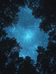 Wall Mural - sky filled with stars and trees
