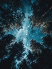 Wall Mural - night sky through trees