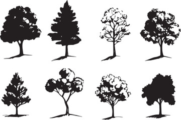 Wall Mural - Set Trees. Hand drawn vector illustration	