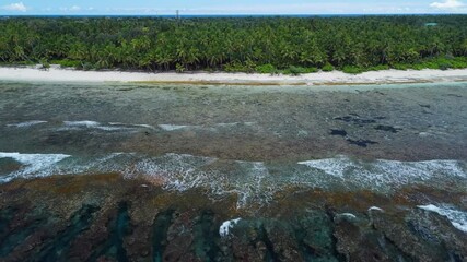 Canvas Print - Maldives tropical coastline beach with palms trees and ocean. Drone view