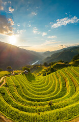 Wall Mural - rice terraces in Mu cang Chai - Viet Nam