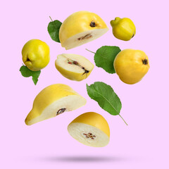 Poster - Fresh quinces and green leaves falling on lilac background