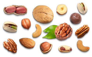 Poster - Different nuts on white background, collection. Pecan, walnut, pistachio, macadamia, peanut, hazelnut, almond, brazil nut and cashew