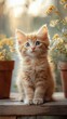 © phurinee - Curious Fluffy Kitten in Soft Afternoon Light on Wooden Table with Potted Plants | Cute Cat with Big Blue Eyes and Whiskers | Copy Space
