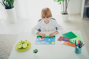 Poster - Portrait of cheerful charming boy son wearing white shirt making origami colored carton handiwork indoors