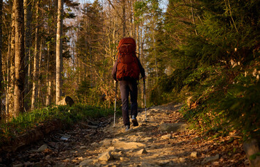 fully equipped hiker enjoying sunrise early in the morning in the mountains. hiker man with backpack