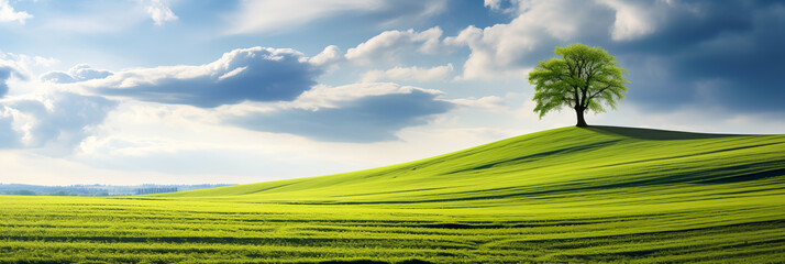 Wall Mural - a tranquil day in the countryside
