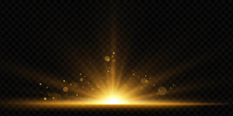 Poster - Vector transparent sunlight special lens flare light effect.