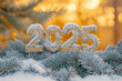 © Agata25 - Festive 2025 made from snow-covered spruce branches, golden bokeh background