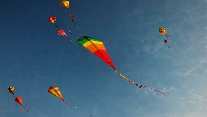 Wall Mural - Colorful kites flying during Makar Sankranti Kite Festival.