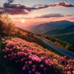 Wall Mural - Gorgeous flowers with sunset mountains and scenic highway image 