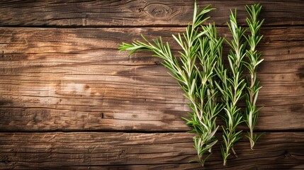 Wall Mural - Rosemary Sprigs on Rustic Wooden Background