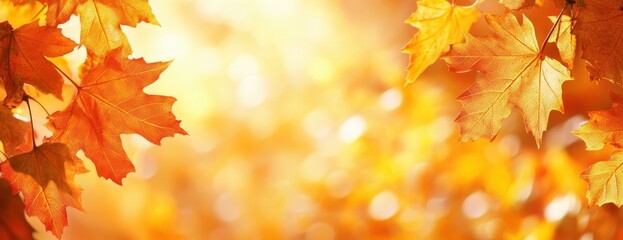Wall Mural - close-up of autumn maple leaves in bright orange and yellow colors, with a blurred background, in th